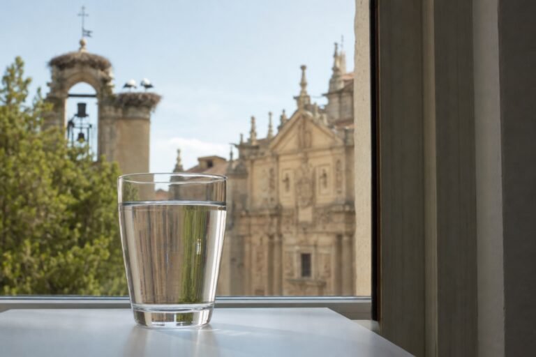 Vaso de agua del grifo con vistas a Alcalá de Henares