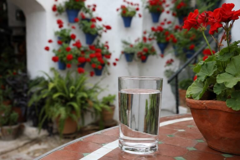 Vaso de agua en la mesa de un patio cordobés con geranios